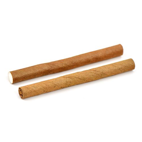 Candlelight Filter - Sumatra